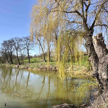 Вінницькі Хутори, Вінницький, Вінницька область 20000.0 USD