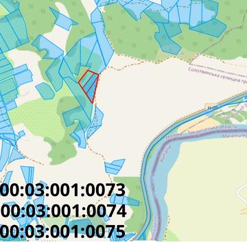 Верхнє водяне, Рахівський, Закарпатська область 14000.0 USD
