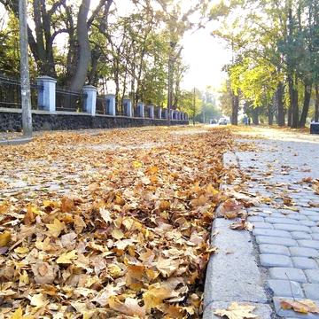 Драгоманова вул.