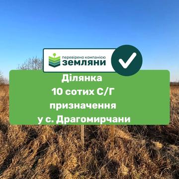 Урочище Березняки