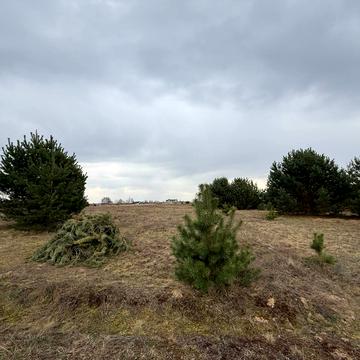 Терновиця, Яворівський, Львівська область 15500.0 USD