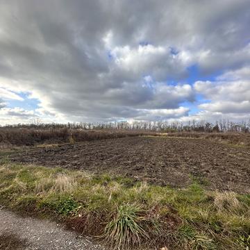 Бохоники, Вінницький, Вінницька область 20000.0 USD