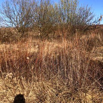 Малехів, Львівський, Львівська область 25000.0 USD