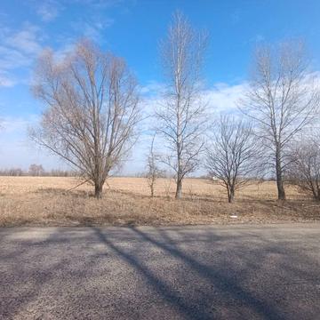 Димер, Вишгородський, Київська область 47200.0 USD