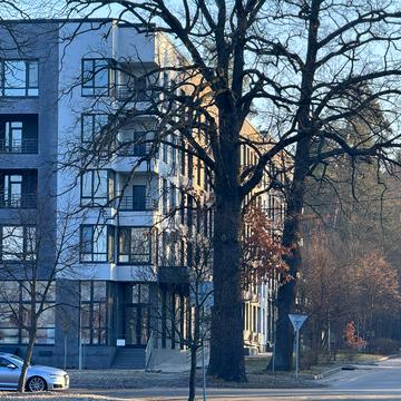 Квітки Цісик вул. (Гамарника), 32