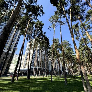 Університетська вул., 3/6