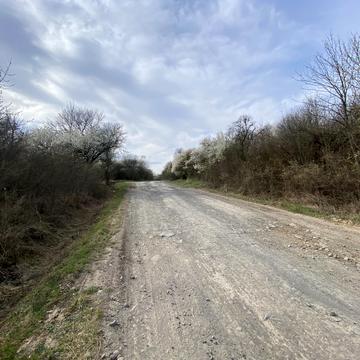 Центральна