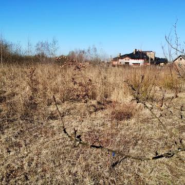 Крихівці, Івано-Франківський, Івано-Франківська область 6000.0 USD