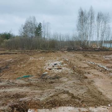 Золотого Лева