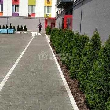 Шевченківський пров., 38