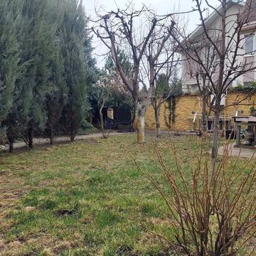 Центральна вул., 21