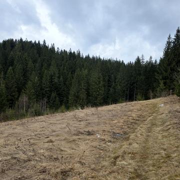 Яблуниця, Надвірнянський, Івано-Франківська область 125000.0 USD