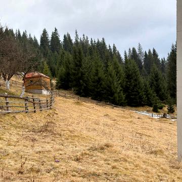 Яблуниця, Надвірнянський, Івано-Франківська область 25000.0 USD