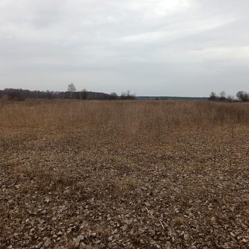 Чорнобильська