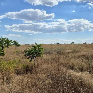 Прилиманське, Одеський, Одеська область 216000.0 USD