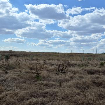 Прилиманське, Одеський, Одеська область 432000.0 USD