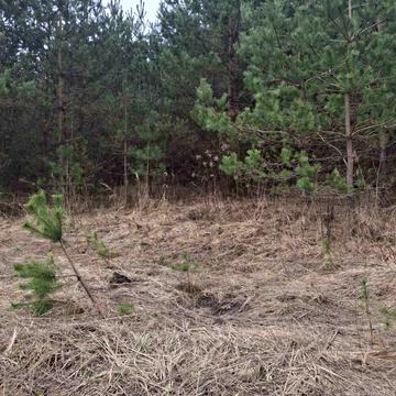 Дунаїв, Кременецький, Тернопільська область 2600.0 USD