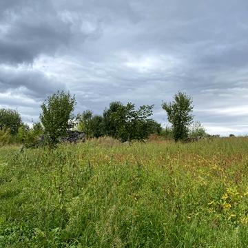 Підгородне, Тернопільський, Тернопільська область 10000.0 USD