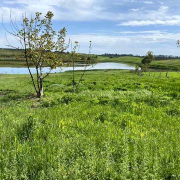 Соборний провулок