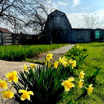 Новий провулок
