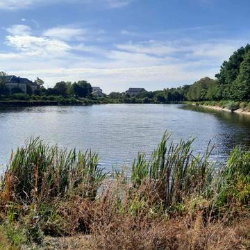 Галицька вул., 35а