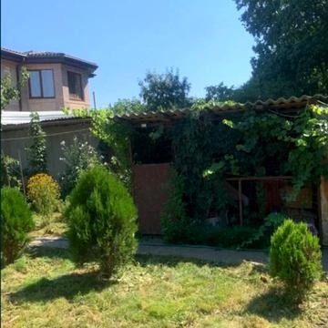 Виноградний пров.