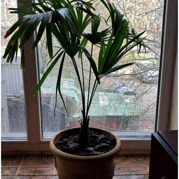 Камянська вул. (Дніпродзержинська), 125-Г