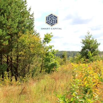 Івана Франка вул. (Некрасова)