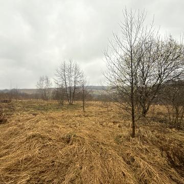 Поляна, Львівський, Львівська область 9000.0 USD