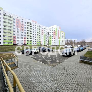 Миру вул., 43