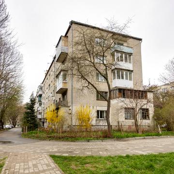 Роксоляни вул., 31