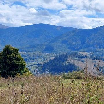 Воловець, Мукачівський, Закарпатська область 800000.0 USD