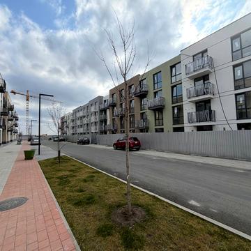 Зелена бічна