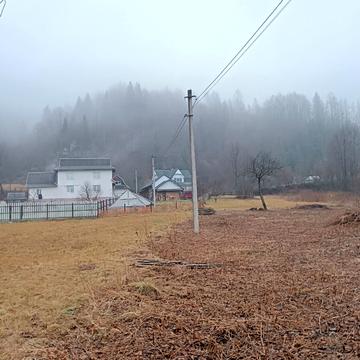 Софії Галечко