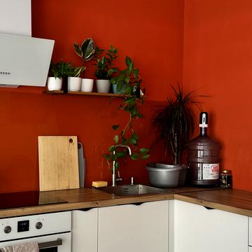 Хутірська вул., 50