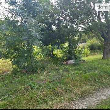 Мічуріна, 26