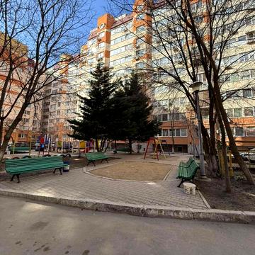 Старицького вул., 20/4