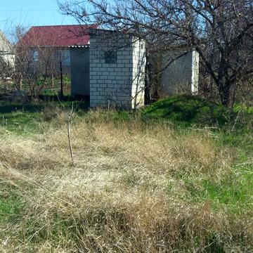 ентузиастів