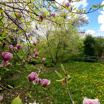 Херсонська вул. (Миколи Кибальчича), 15