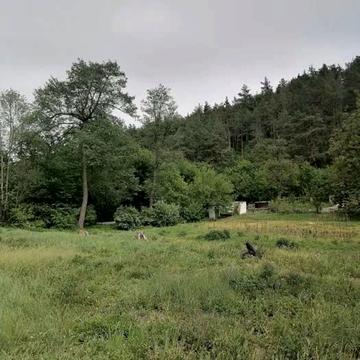 провулок Шевченка