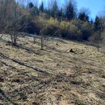 Новий Кропивник, Дрогобицький, Львівська область 42000.0 USD