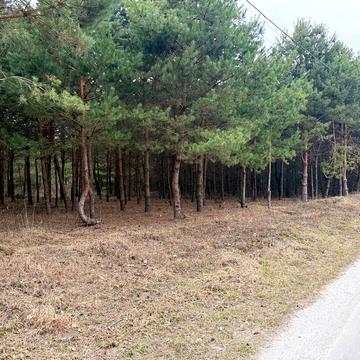 Козацька вул. (Леніна)