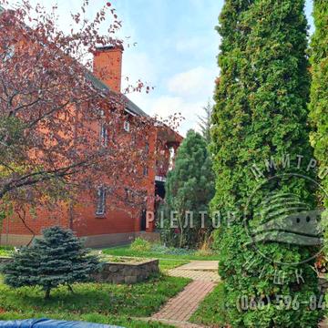 Центральна вул.