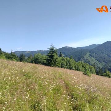 Верховина, Верховинський, Івано-Франківська область 1800.0 USD