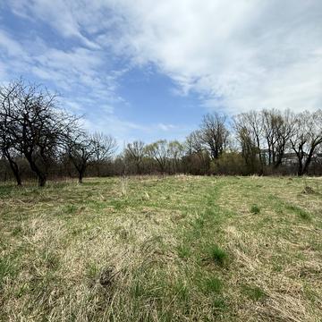 Шевченка, 41