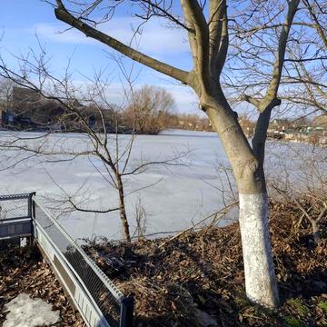 Центральна вул.