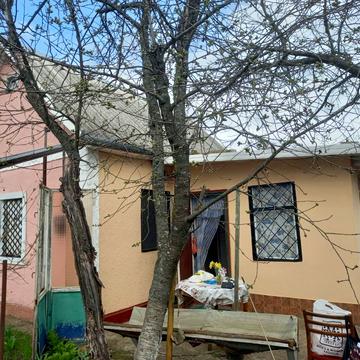 Виноградна, 123