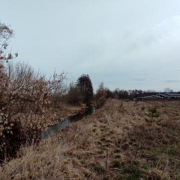 Нові Безрадичі, Обухівський, Київська область 250000.0 USD