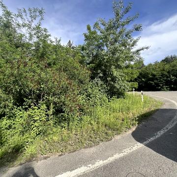 Центральна