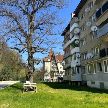 Анатолія Голика, 150